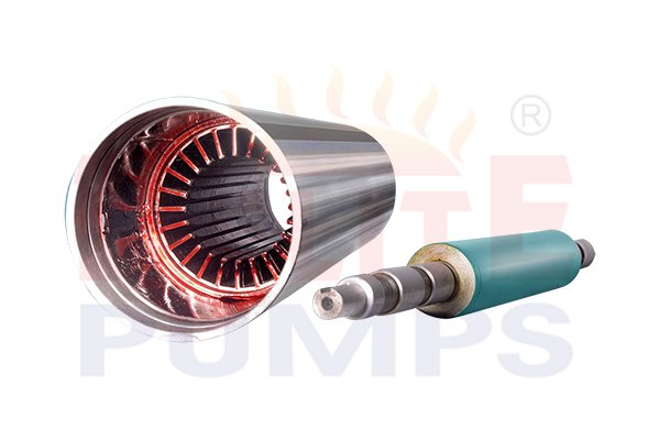 AC Induction Motor Manufacturer